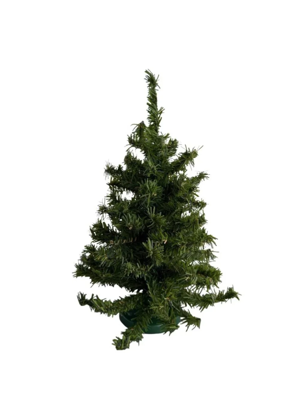 Ribbon Narrow tree new